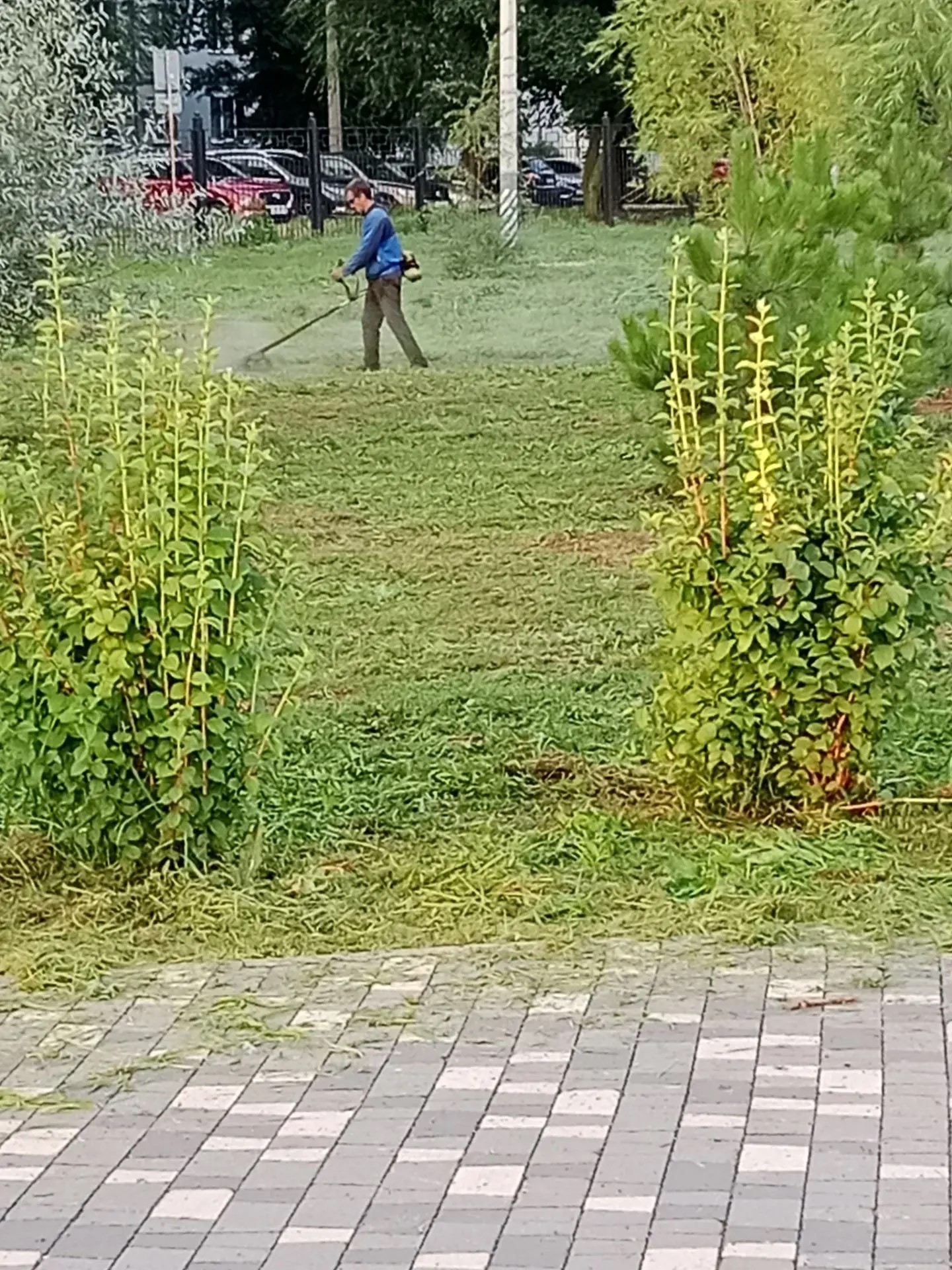 Новости