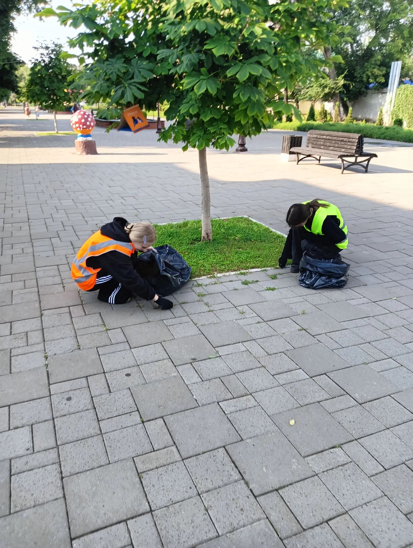 Новости