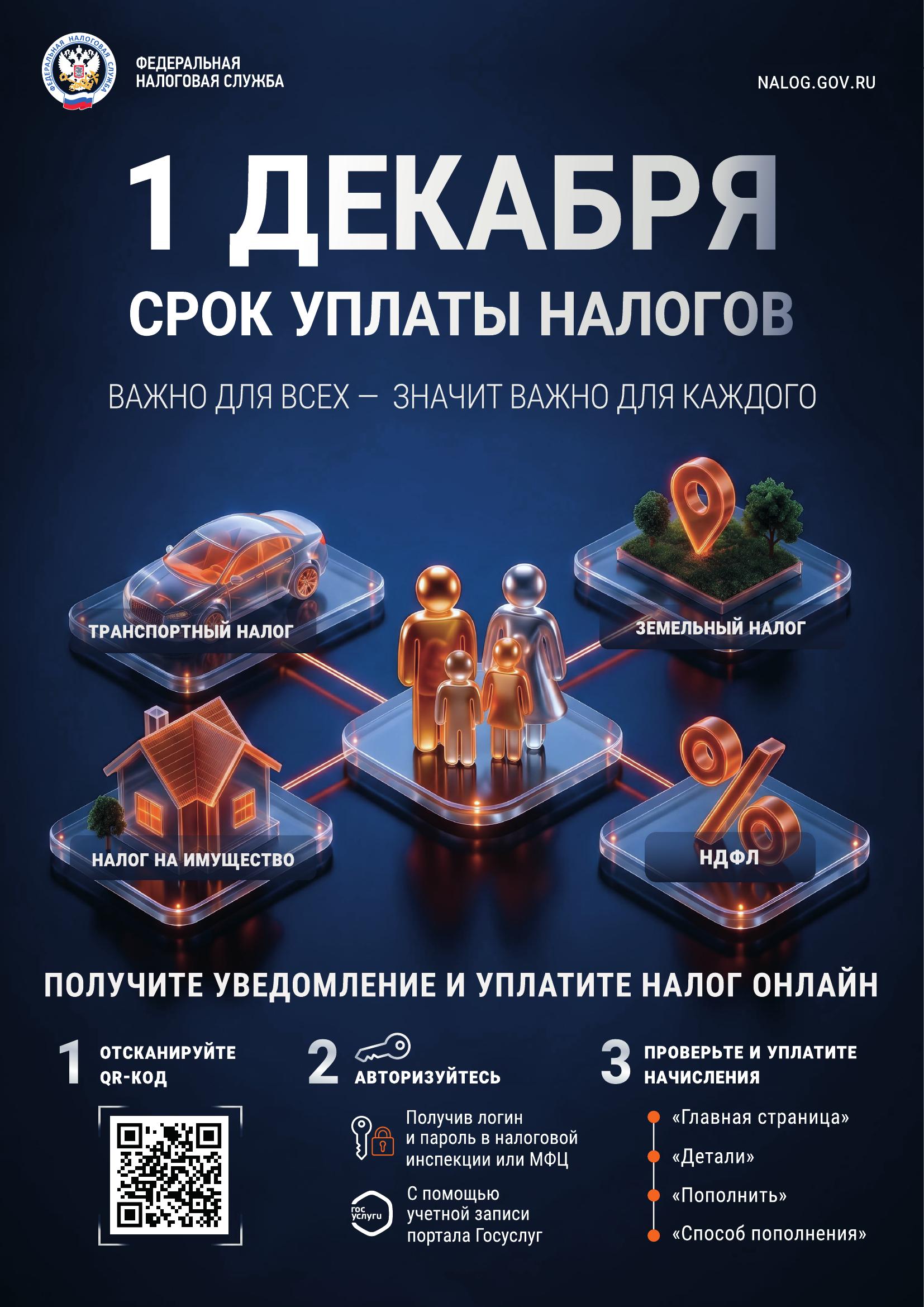 Налоговая грамотность: успейте оплатить налоги до 1 декабря!