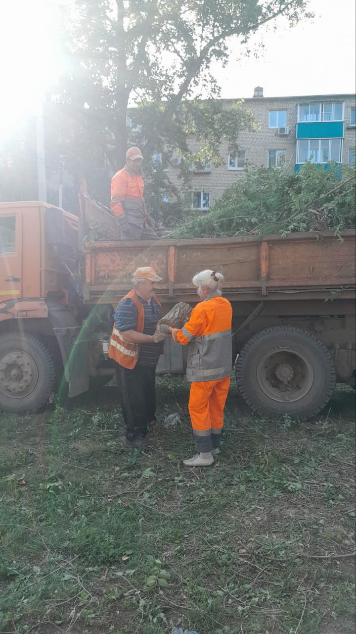 Полив зеленых насаждений, покос травы, уборка общественных территорий: благоустройство города ведётся в ежедневном режиме