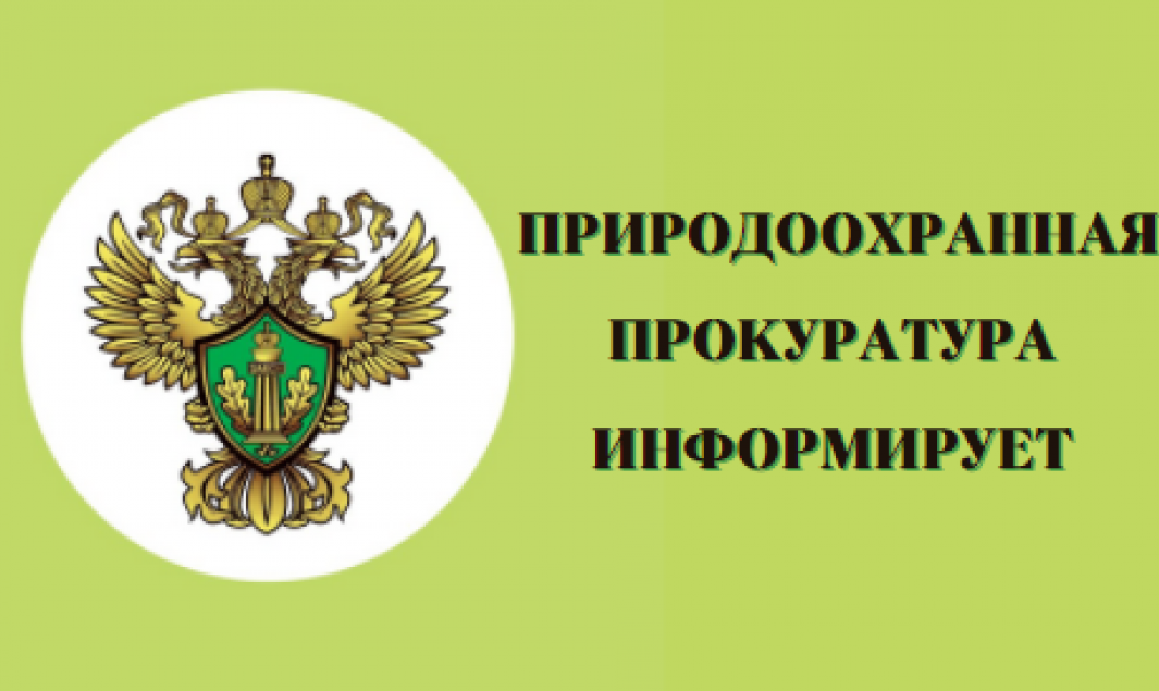 Саратовская межрайонная природоохранная прокуратура разъясняет законодательство в сфере недропользования