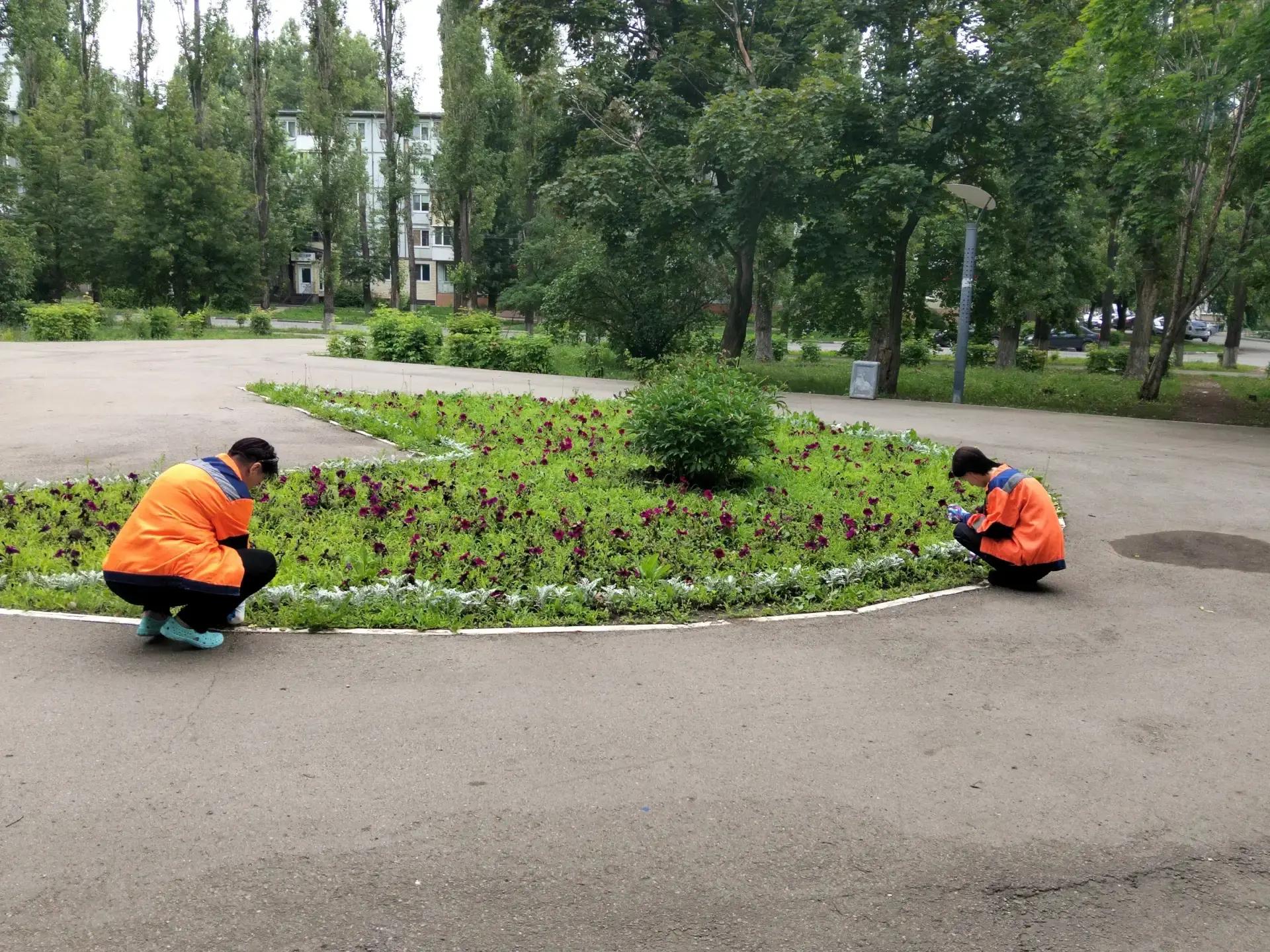 Сотрудники «Комбината благоустройства» продолжают наводить порядок на улицах Балаково