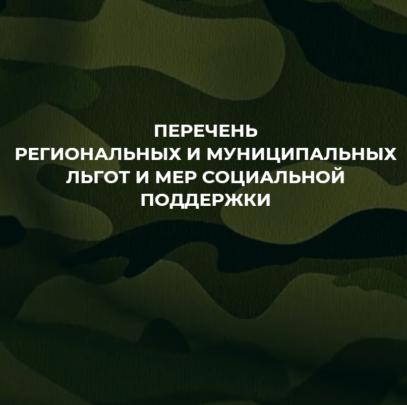 перечень региональных и муниципальных льгот и мер социальной поддержки