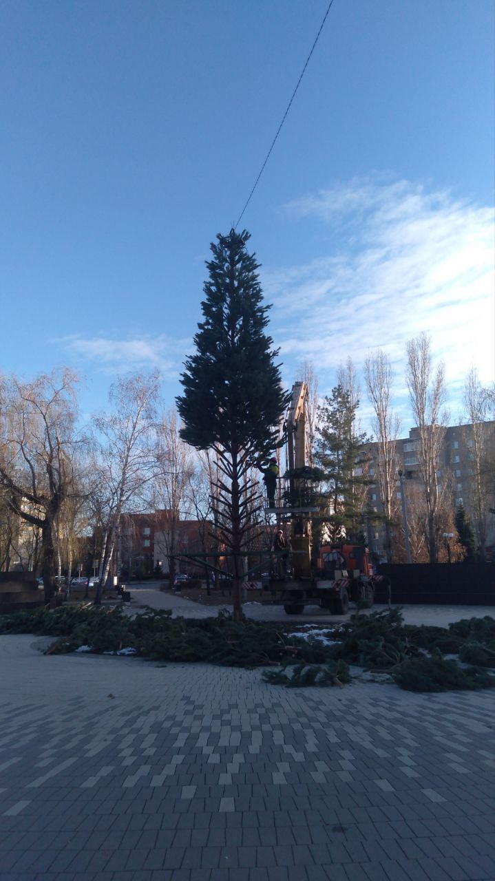 В парке «Центральный» установили новогоднюю ель