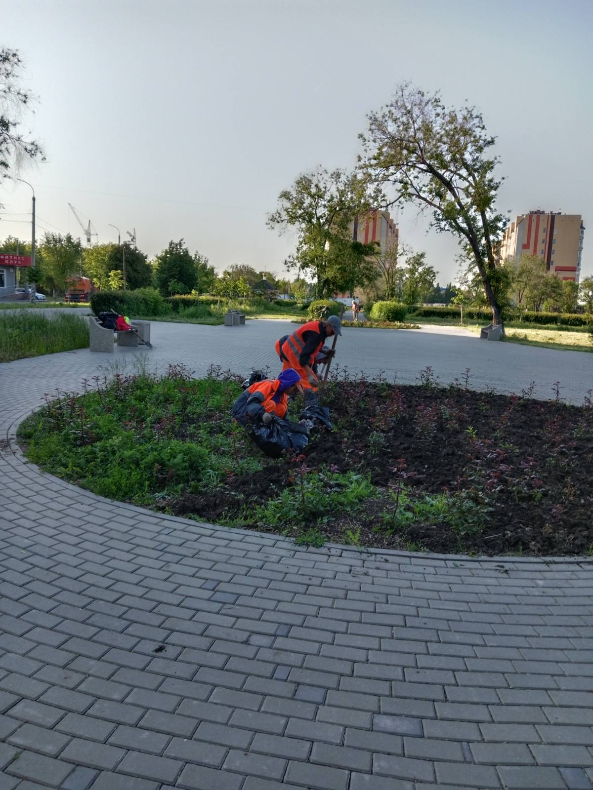 Благоустройство города Балаково сегодня: покос травы, стрижка живой изгороди, спил и обрезка деревьев, очистка ливневых колодцев, уборка общественных территорий