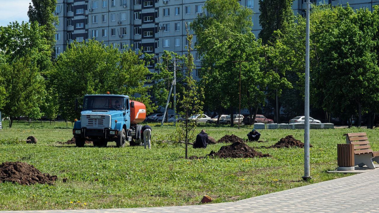 В Балакове продолжается благоустройство парка «Центральный»