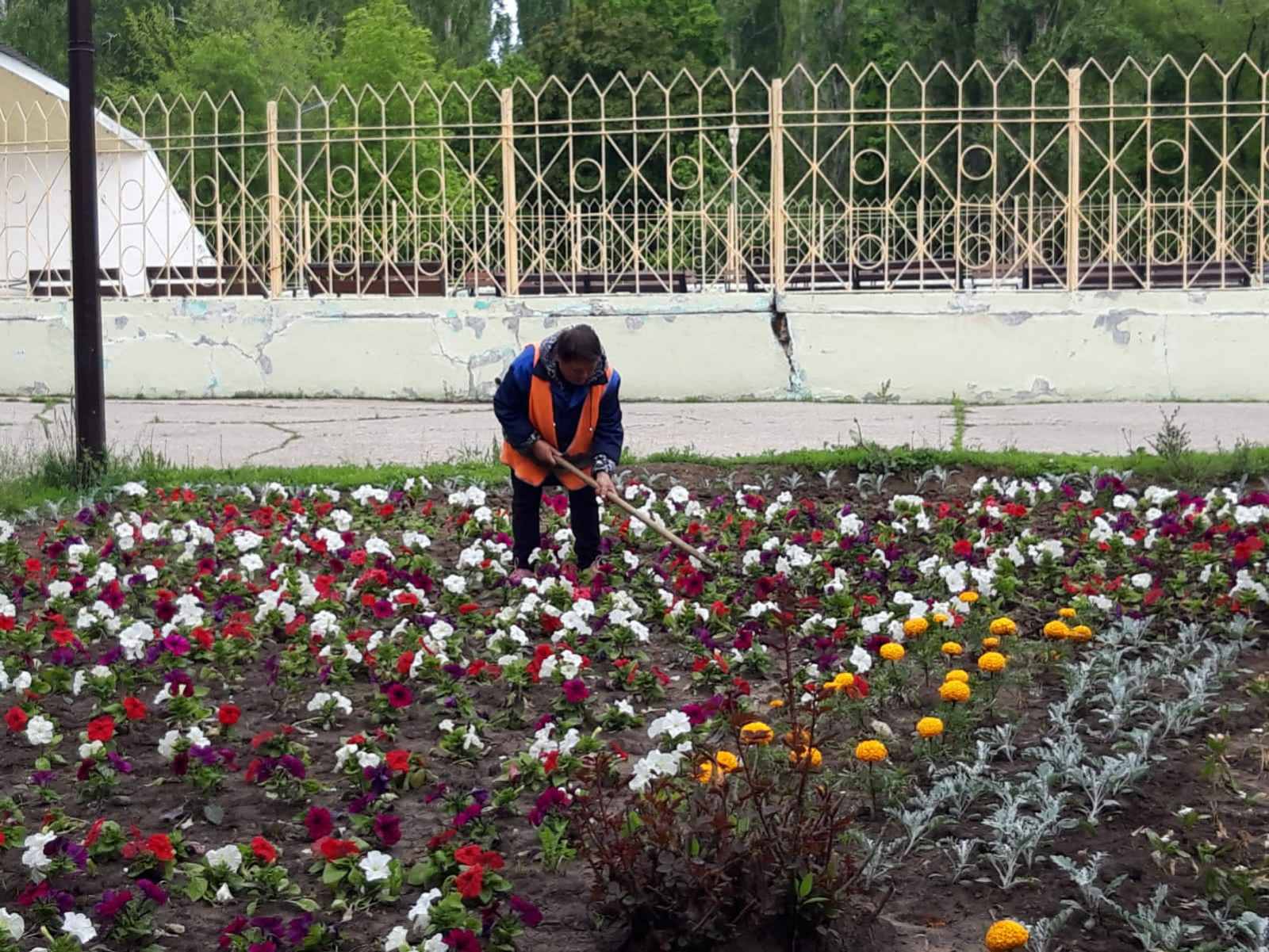 Глава Балаковского района поручил усилить работы по покосу травы в Балаково