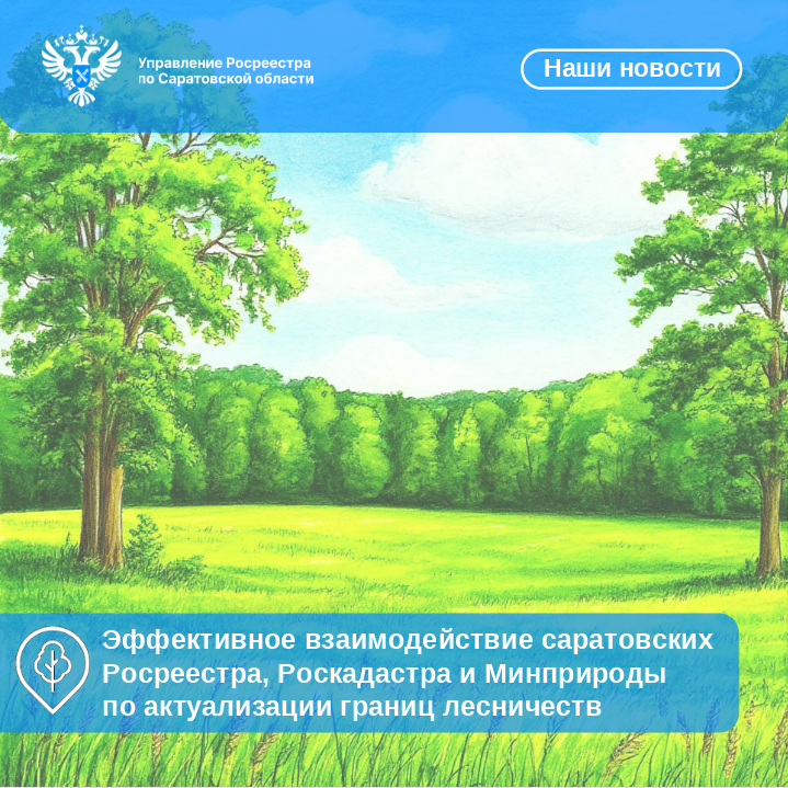 Взаимодействие саратовских Росреестра, Роскадастра и Минприроды по актуализации границ лесничеств