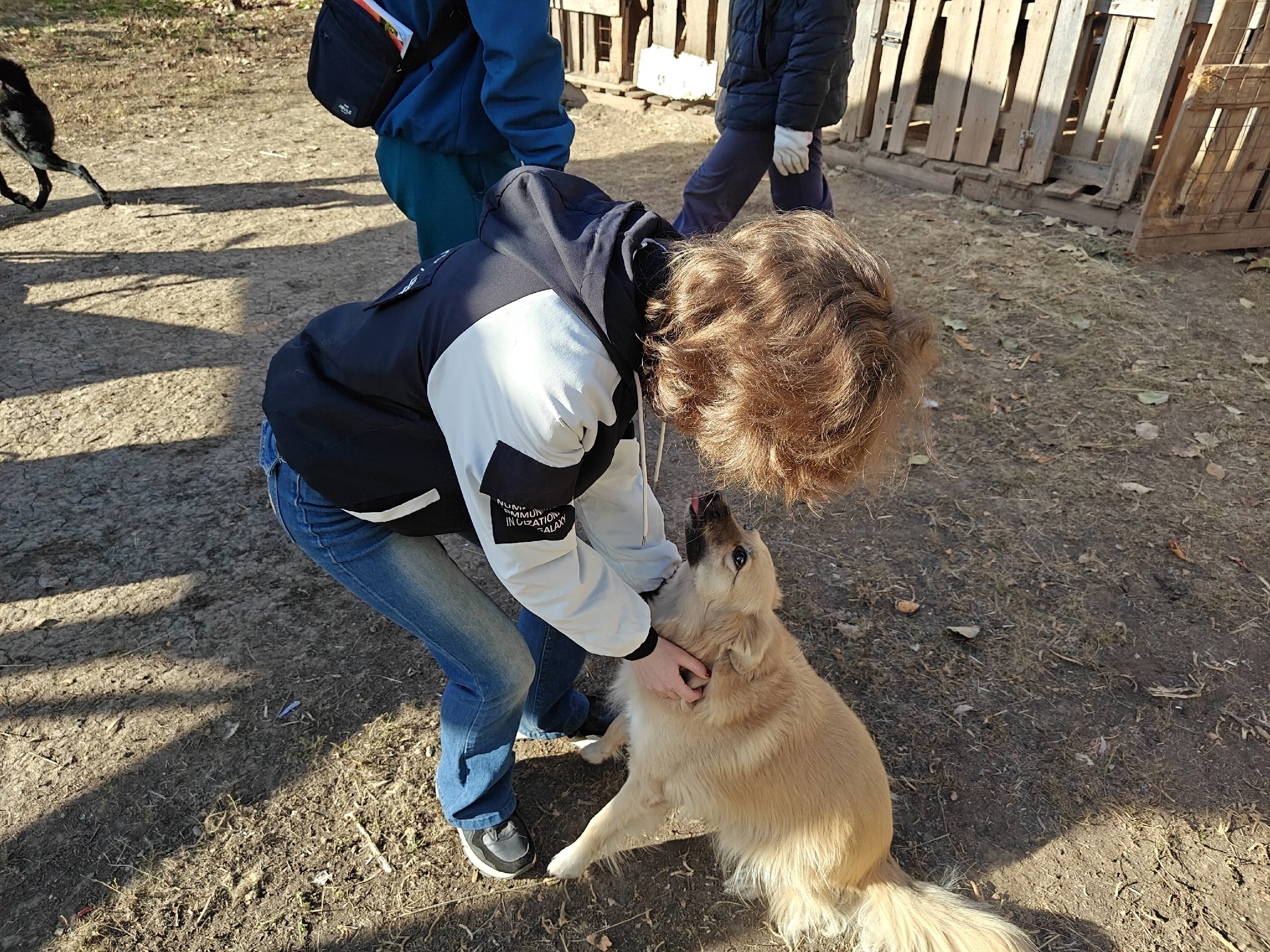 В минувшею субботу студенты Губернаторского колледжа побывали в приюте для животных «Том и Джери» 