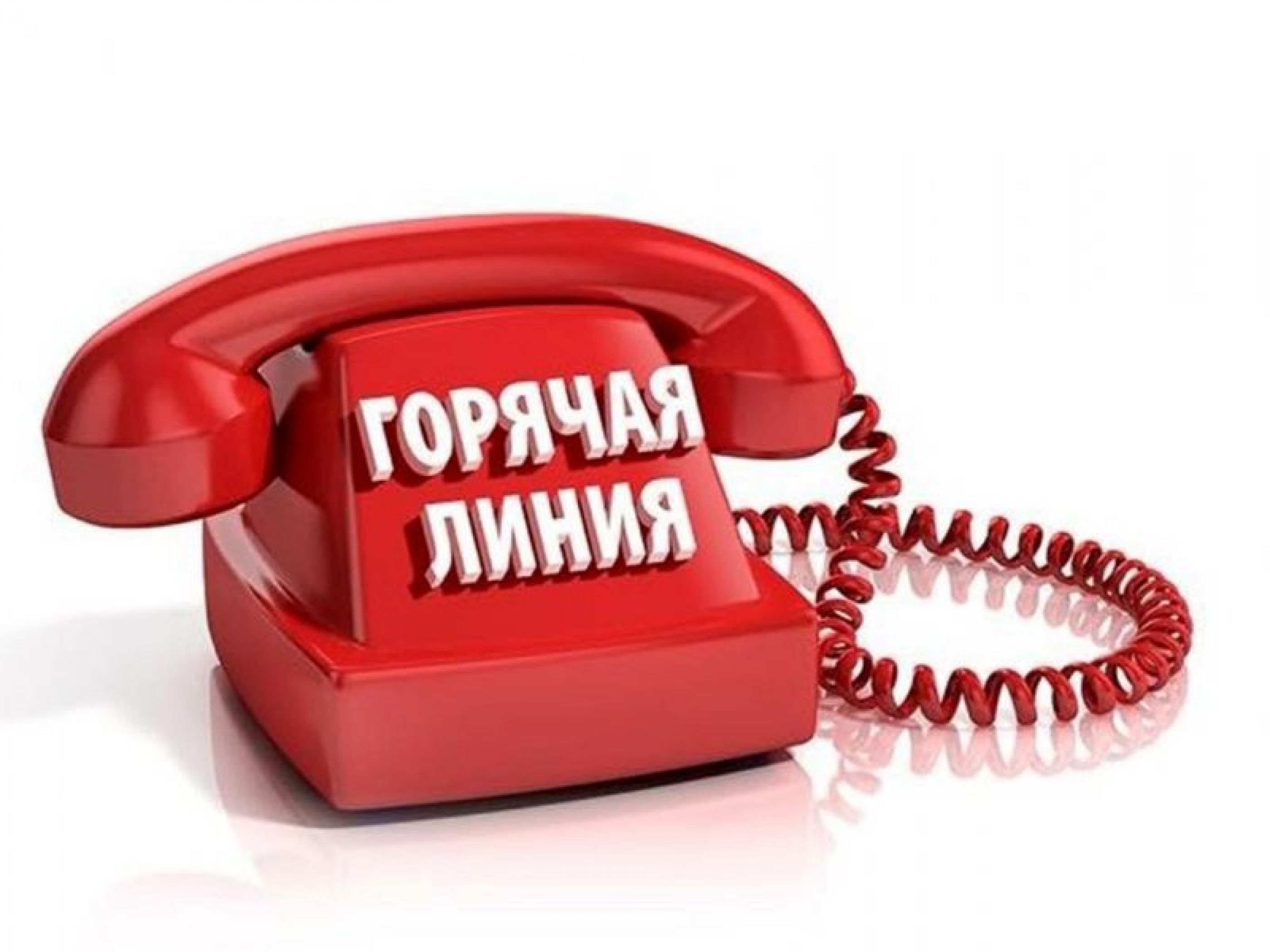 Управление Роспотребнадзора по Саратовской области организует работу «горячей линии» по вопросам организации питания в школах