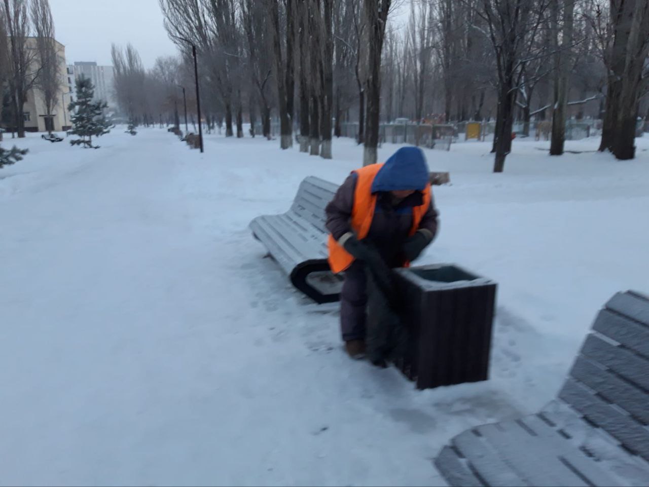Благоустройство города сегодня: очистка прилотковой зоны, формовка деревьев, обслуживание дорожно-транспортной сети города