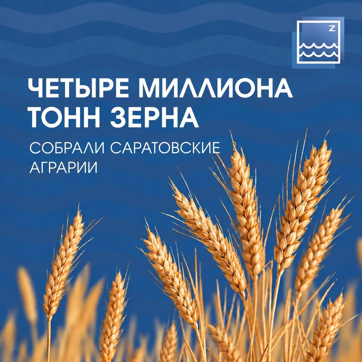 4 МИЛЛИОНА ТОНН ЗЕРНА СОБРАЛИ САРАТОВСКИЕ АГРАРИИ