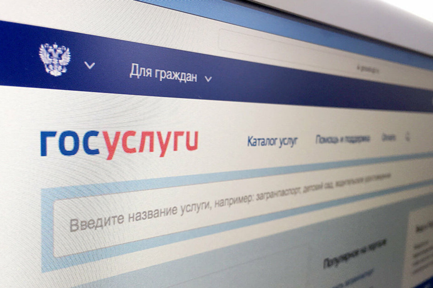 На "Госуслугах" открылась форма для создания черновика заявления в первый класс