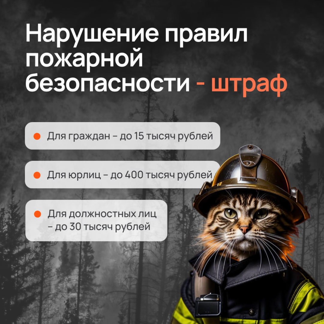 Осторожно, огонь! Жителям региона напомнили о рисках возникновения лесных пожаров