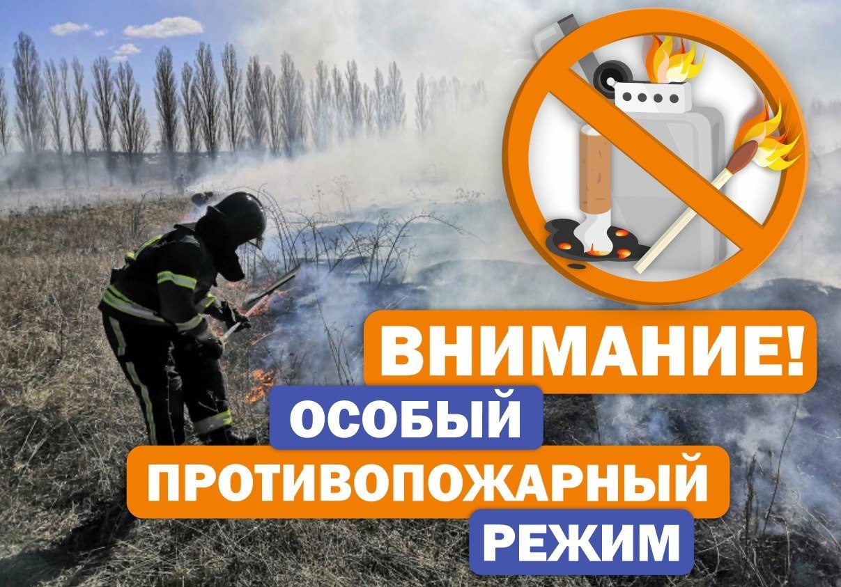 Порядок использования открытого огня и разведения костров на землях сельскохозяйственного назначения, землях запаса и землях населенных пунктов