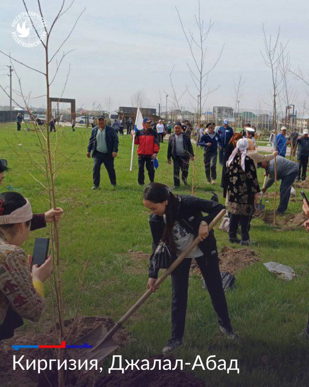 Акция «Сад памяти» продолжается за рубежом при поддержке Русских домов