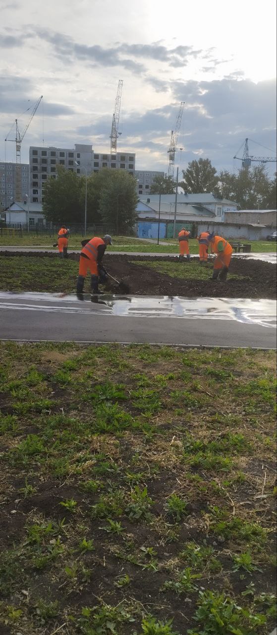 Благоустройство города сегодня: покос травы, очистка осевых и прилотковой зон, вывоз веток, сбор мусора