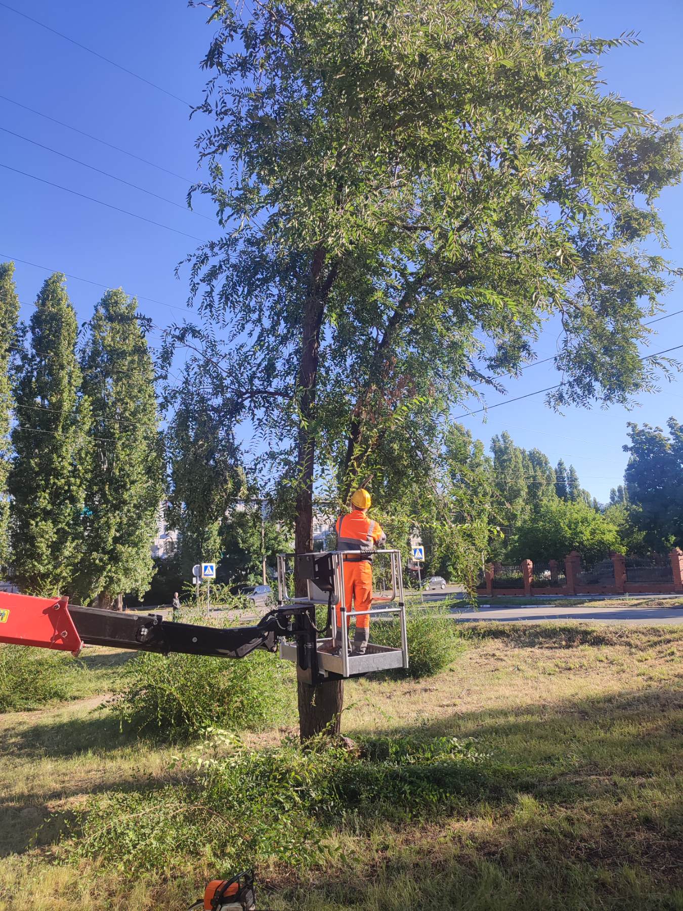 Ежедневно и без выходных. Сотрудники Комбината благоустройства продолжают наводить порядок в городе