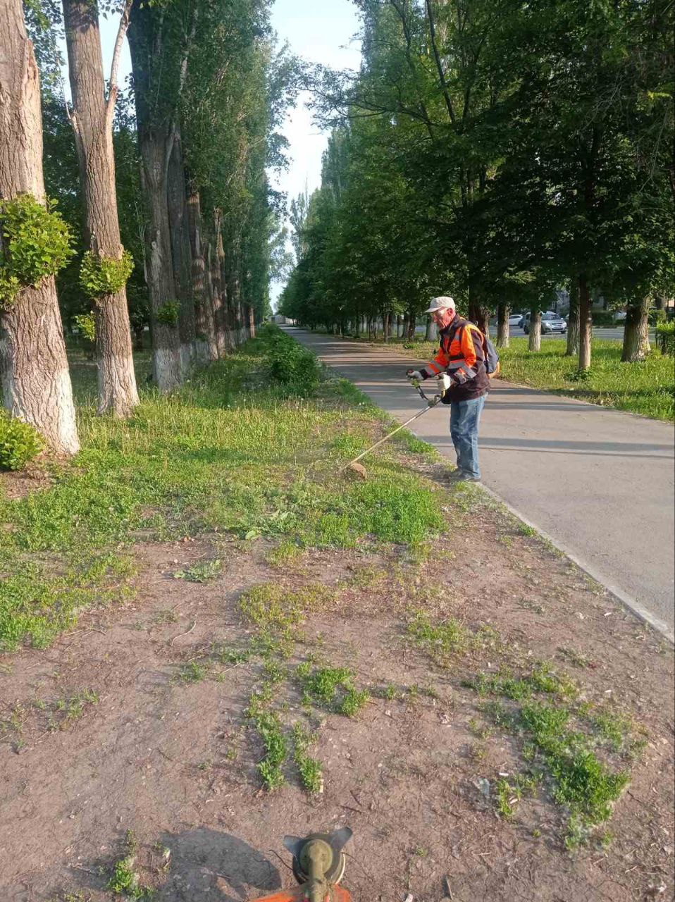 Покос травы, сбор мусора, очистка прилотковой и осевых зон. В Балаково работы по благоустройству ведутся ежедневно