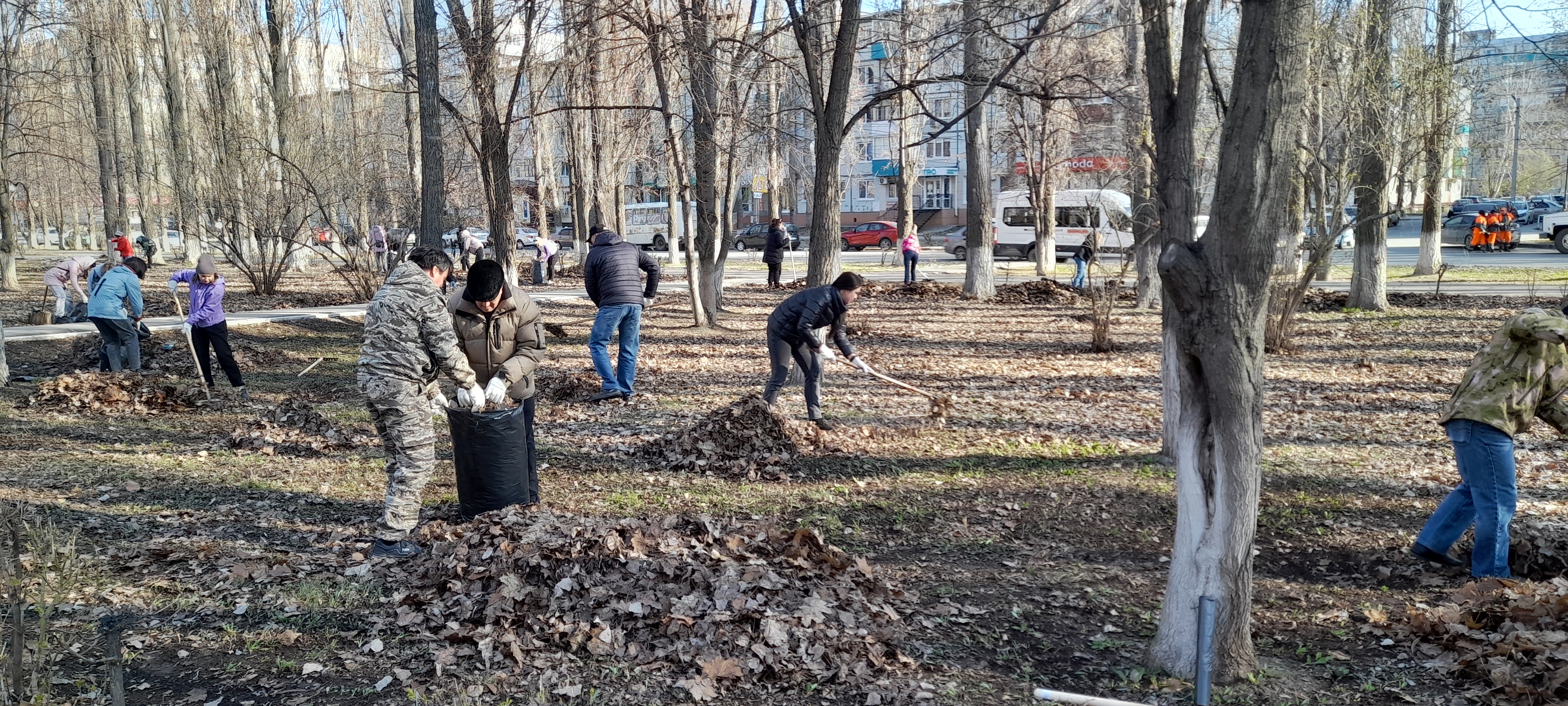 Сотрудники МКУ "Управление по делам гражданской обороны, предупреждения и ликвидации последствий чрезвычайных ситуаций администрации Балаковского муниципального района" приняли участие в субботнике