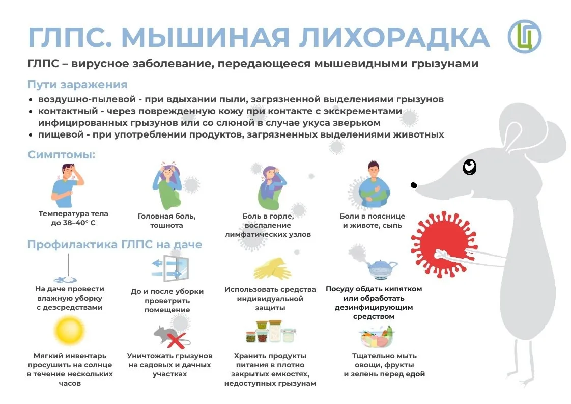 Жителям Саратовской области напомнили о мерах профилактики ГЛПС 