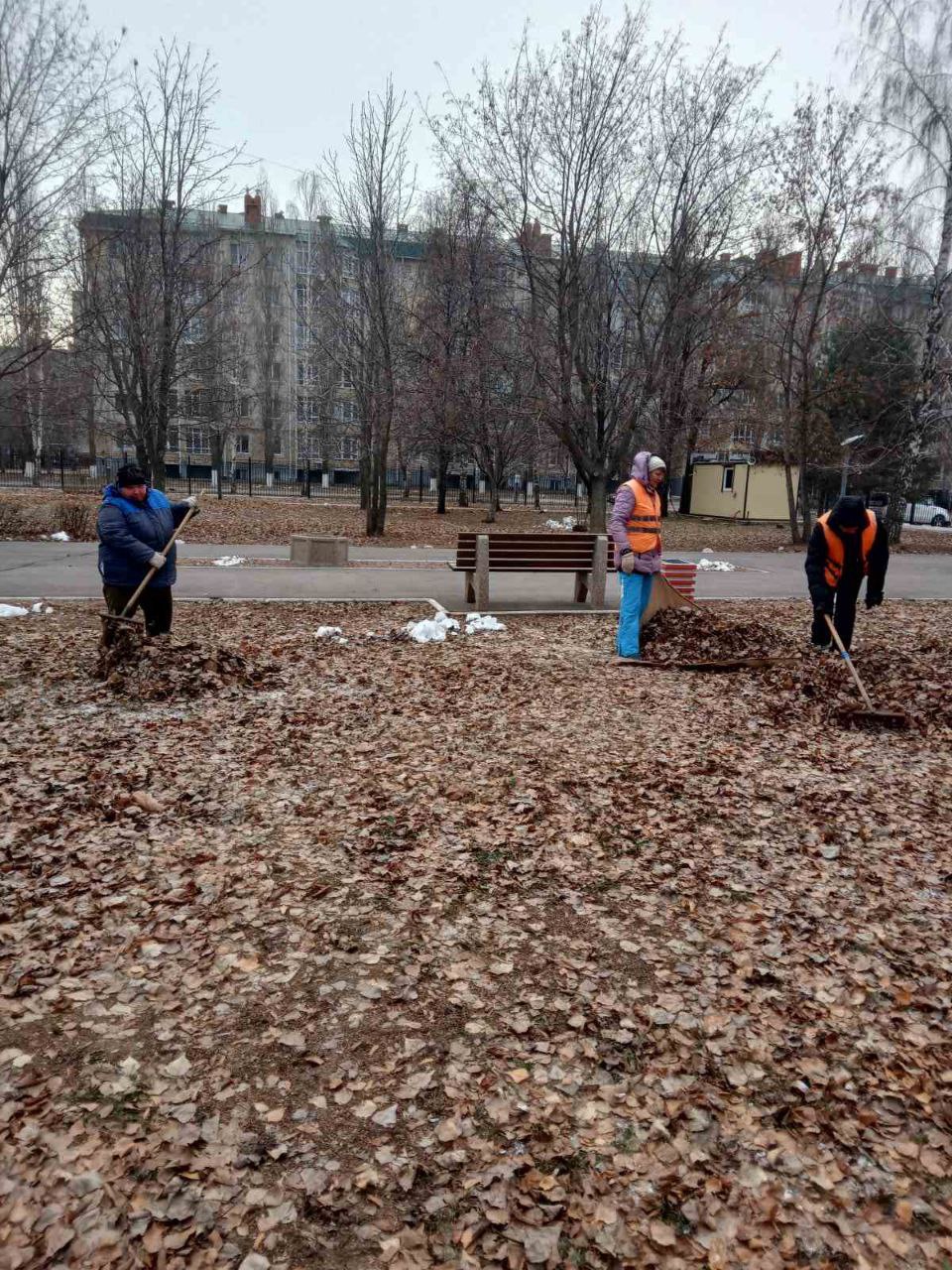 Уборка парковых территорий, очистка дождеприемников, опиловка деревьев: работы по благоустройству в Балаково ведутся ежедневно