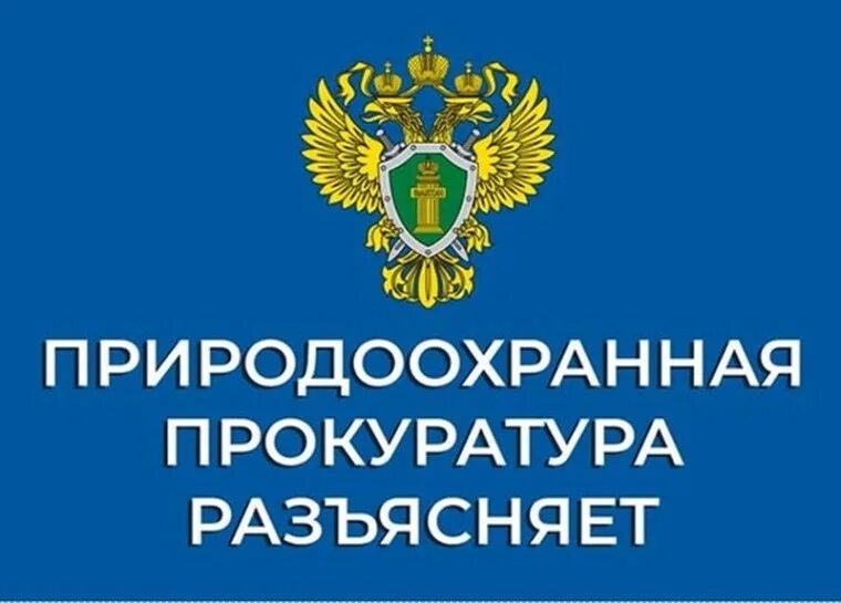 Саратовская межрайонная природоохранная прокуратура разъясняет изменения, внесенные в Лесной кодекс Российской Федерации
