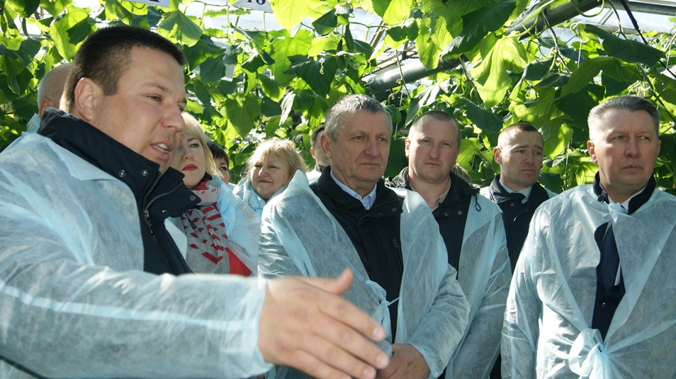 Ао волга совет директоров
