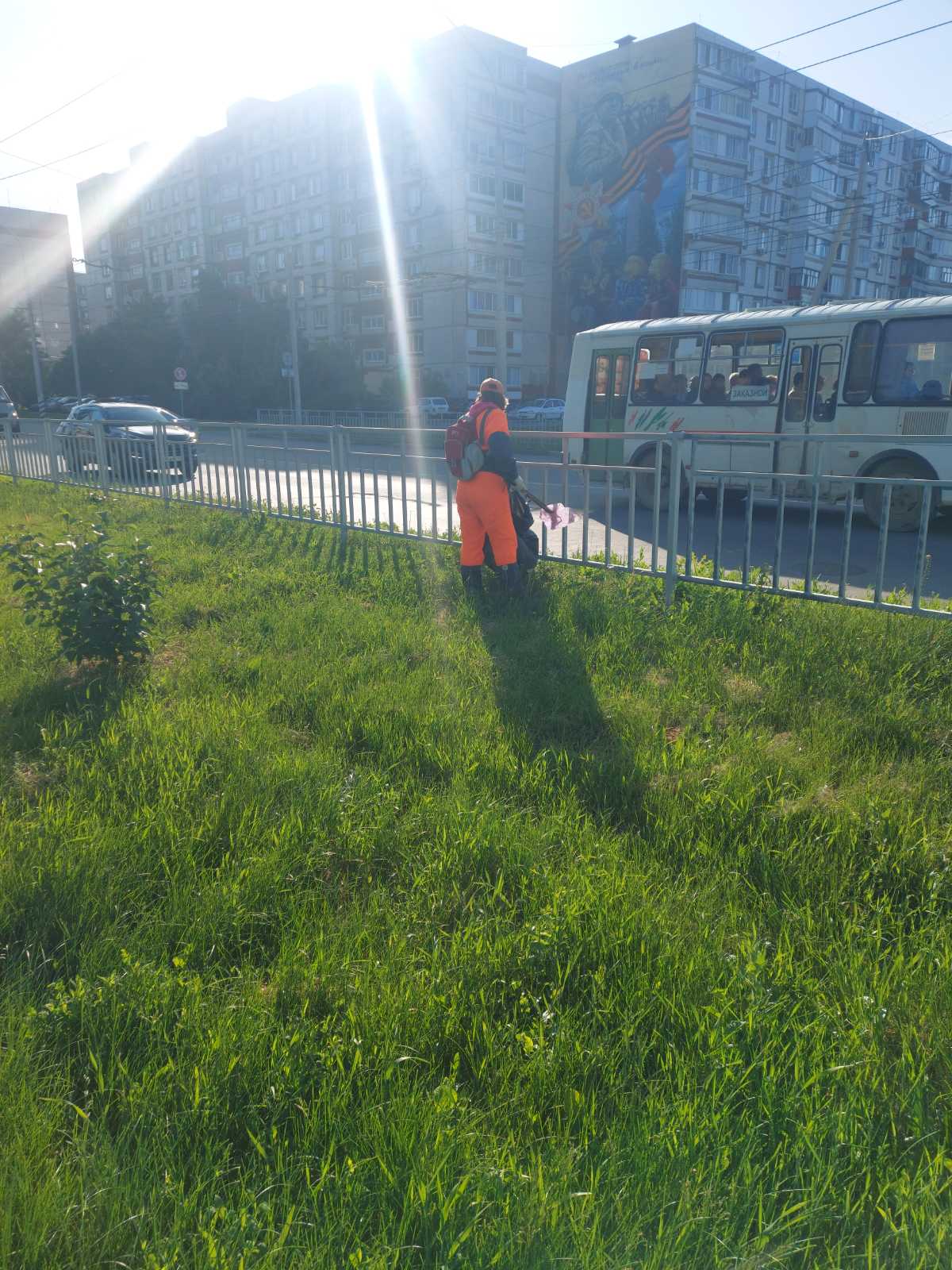 Благоустройство города Балаково сегодня: покос травы, стрижка живой изгороди, спил и обрезка деревьев, очистка ливневых колодцев, уборка общественных территорий