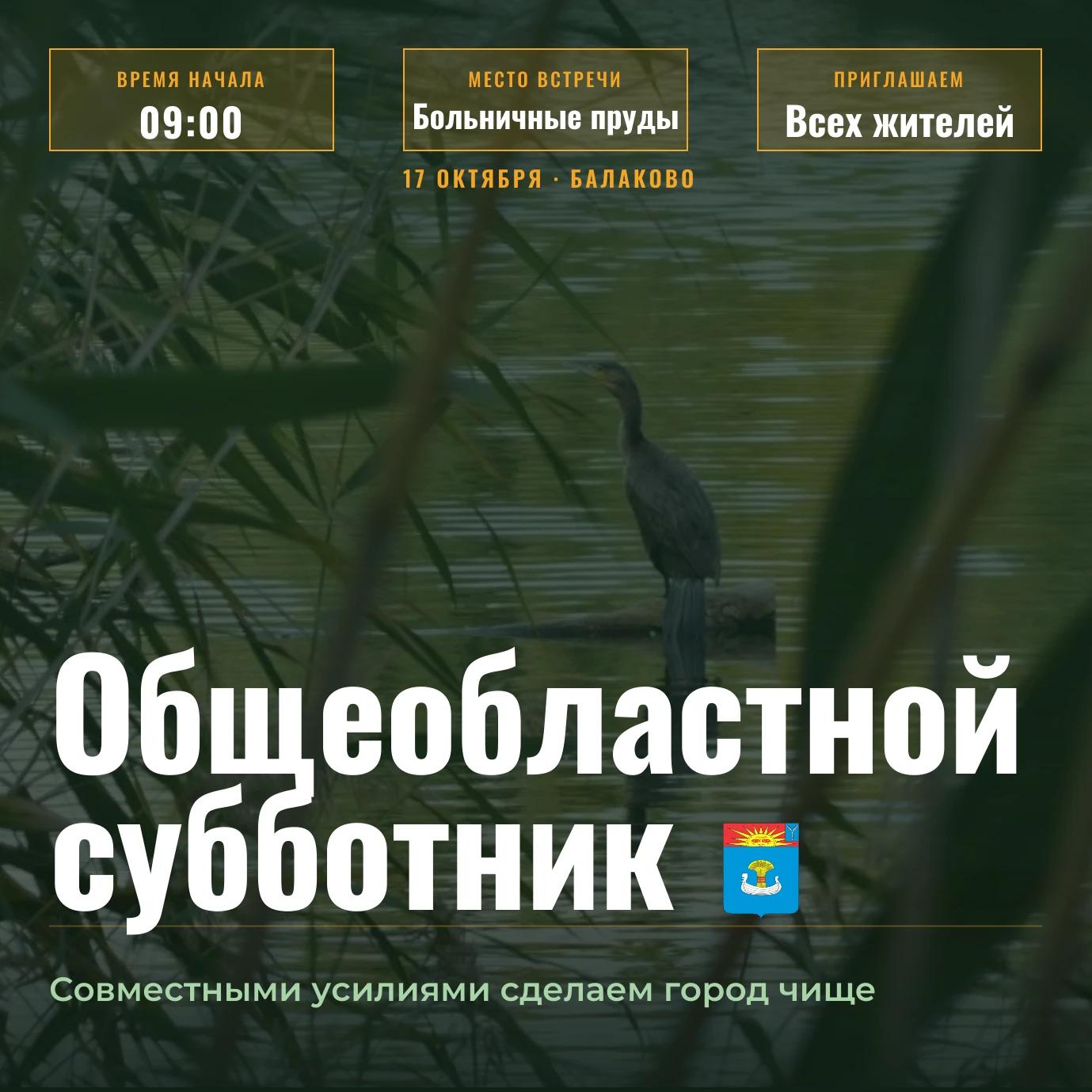 Сергей Барулин: в предстоящую субботу Балаково и сёла района присоединятся к общеобластному субботнику