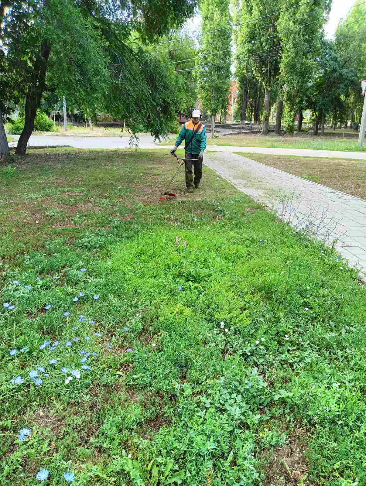 В городе Балаково в жаркую погоду осуществляется регулярный полив центральных дорог