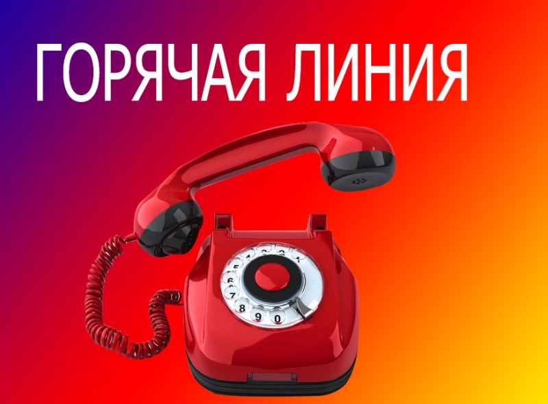 Открыта горячая линия по проблемам с трудоустройством