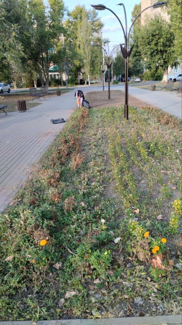 Покос травы, нанесение разметки, уборка улиц: коммунальные службы работают в ежедневном режиме