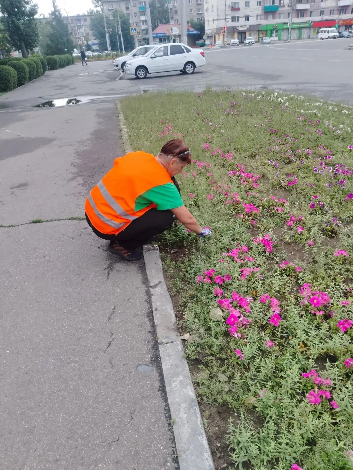 В Балаково продолжаются плановые работы по благоустройству города