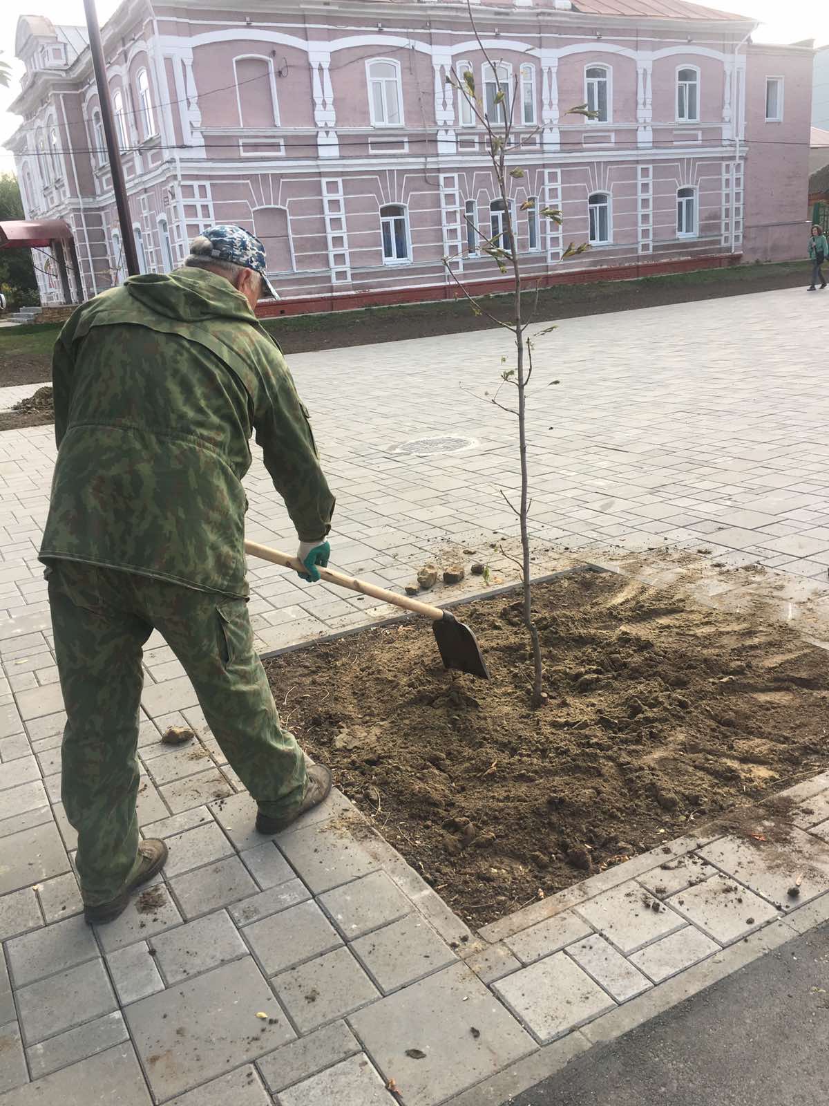 Порядка 200 саженцев высадили в парке за "Октябрем"