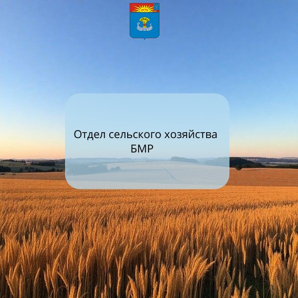 Информация о ходе полевых работ в Балаковском муниципальном районе