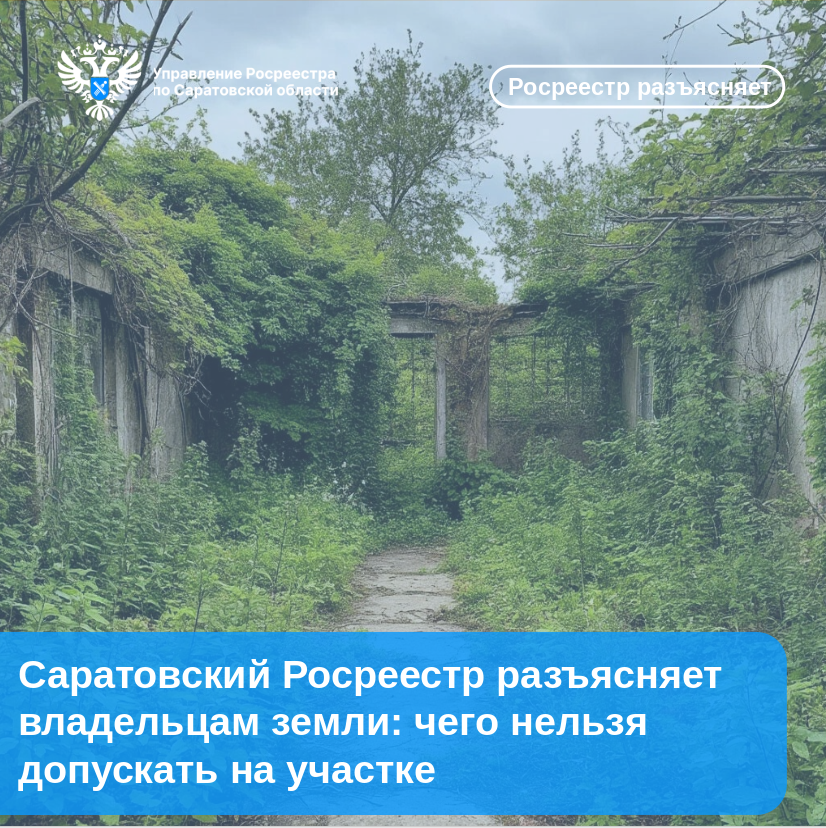 Саратовский Росреестр разъясняет владельцам земли: чего нельзя допускать на участке