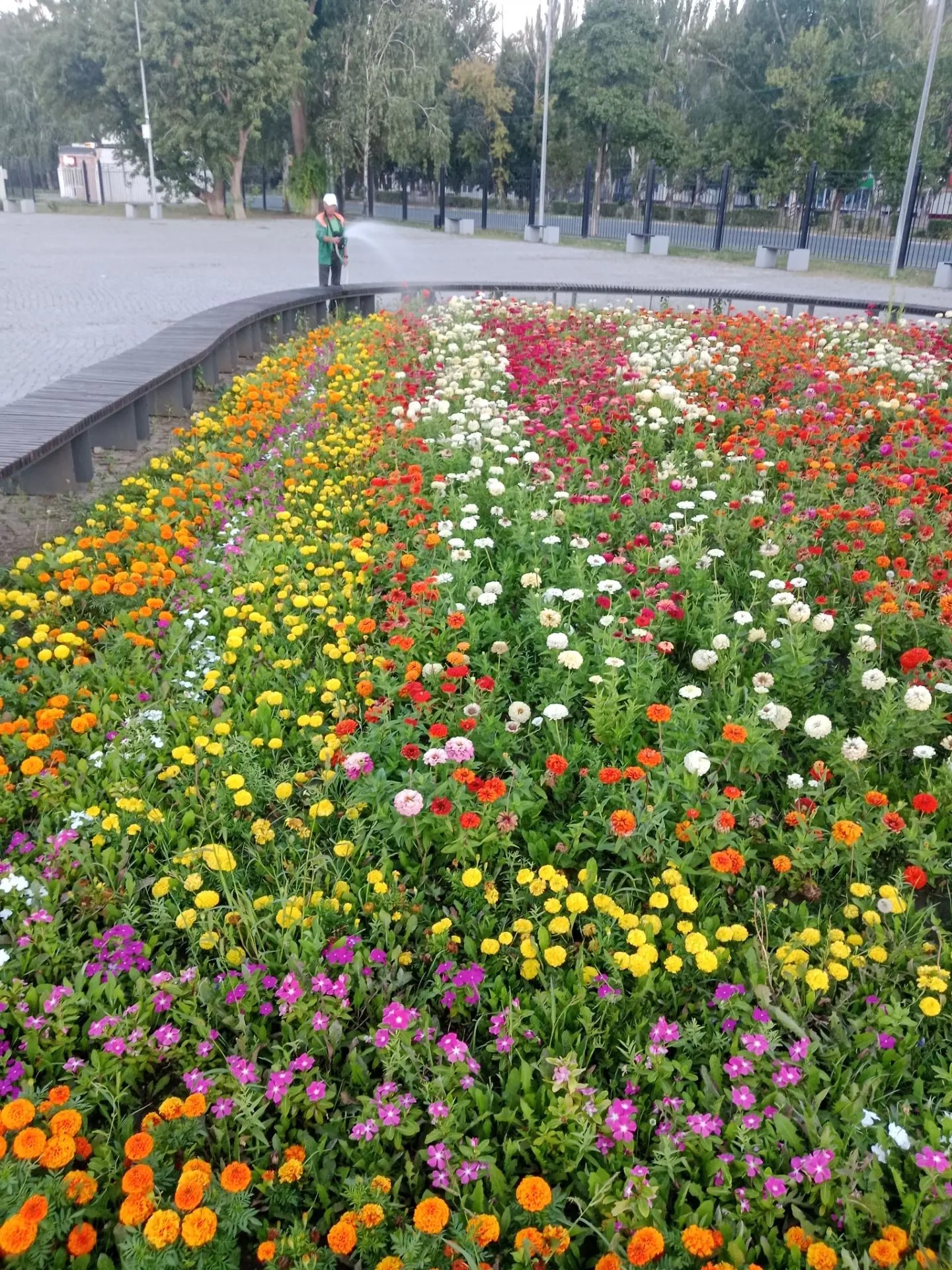 В Балаково продолжаются плановые работы по благоустройству   