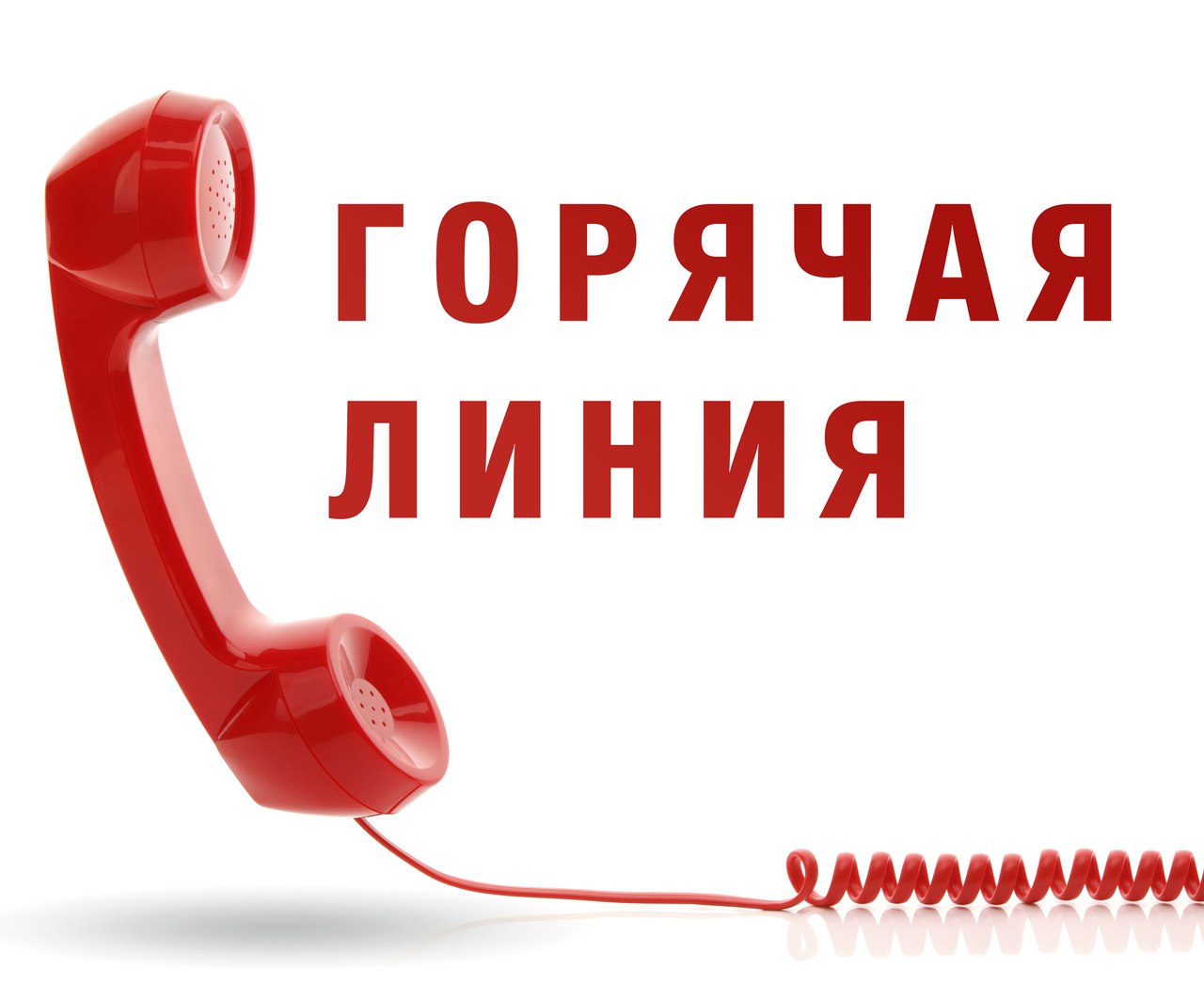 Работает «горячая линия» по вопросам организации питания в школах 