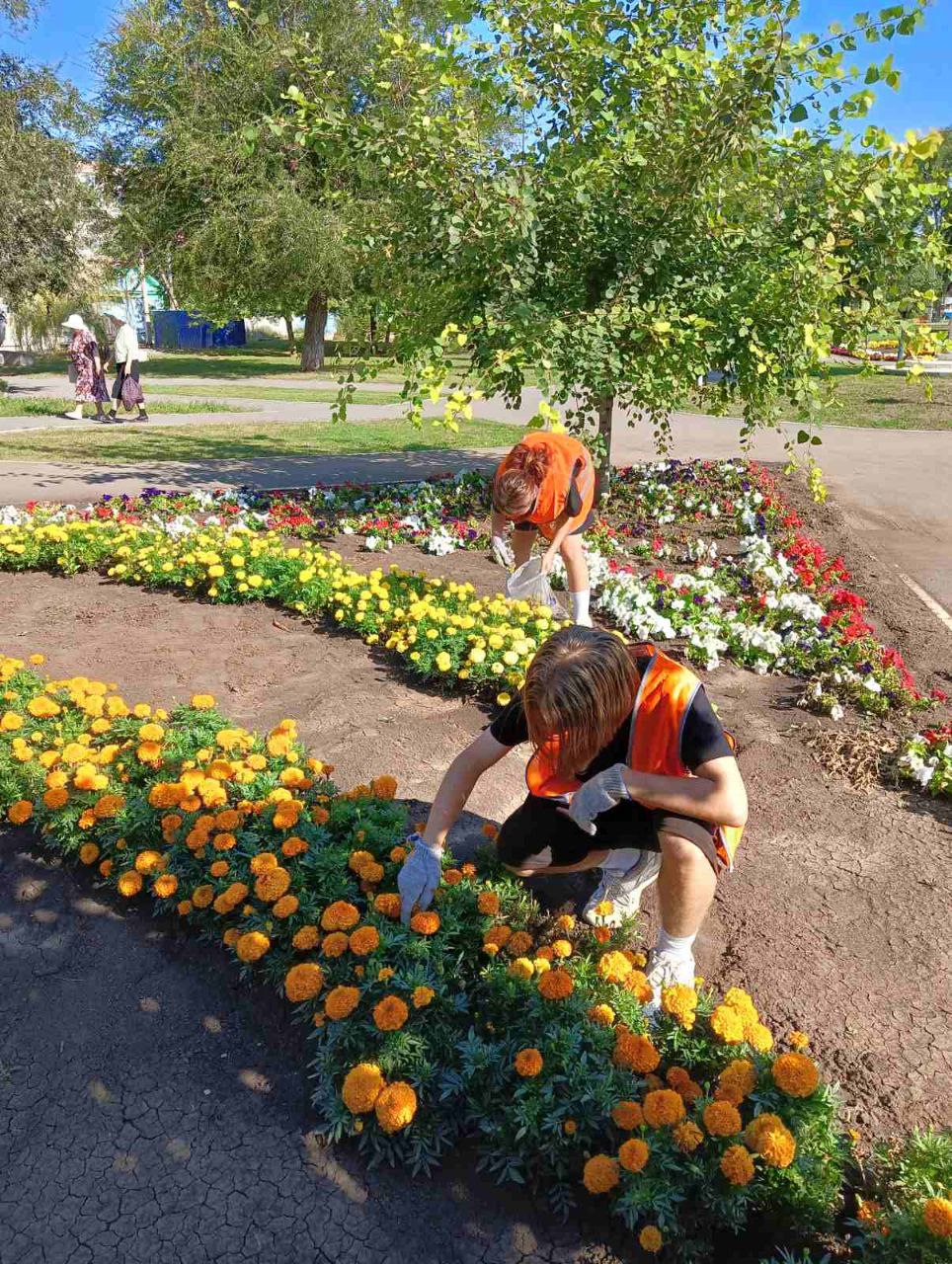 Покос травы, полив зеленых насаждений, сбор и вывоз веток. Работы по уборке города ведутся ежедневно