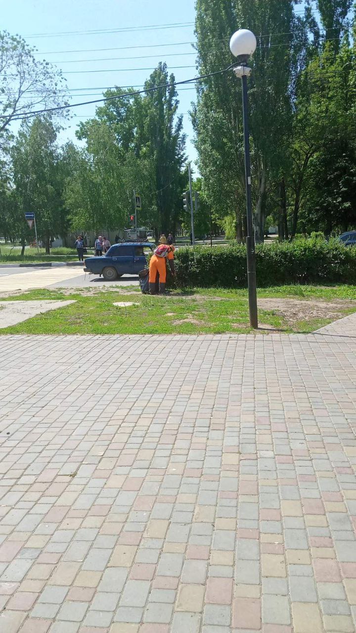 Покос травы, сбор мусора, очистка прилотковой и осевых зон. В Балаково работы по благоустройству ведутся ежедневно