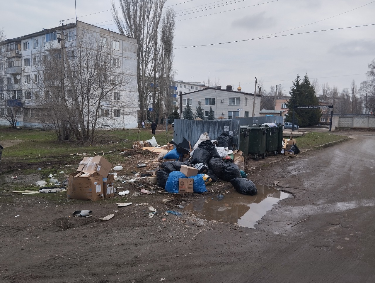 В отношении  управляющей организации возбуждено административное производство за несоблюдение правил уборки территории возле мусорных контейнеров