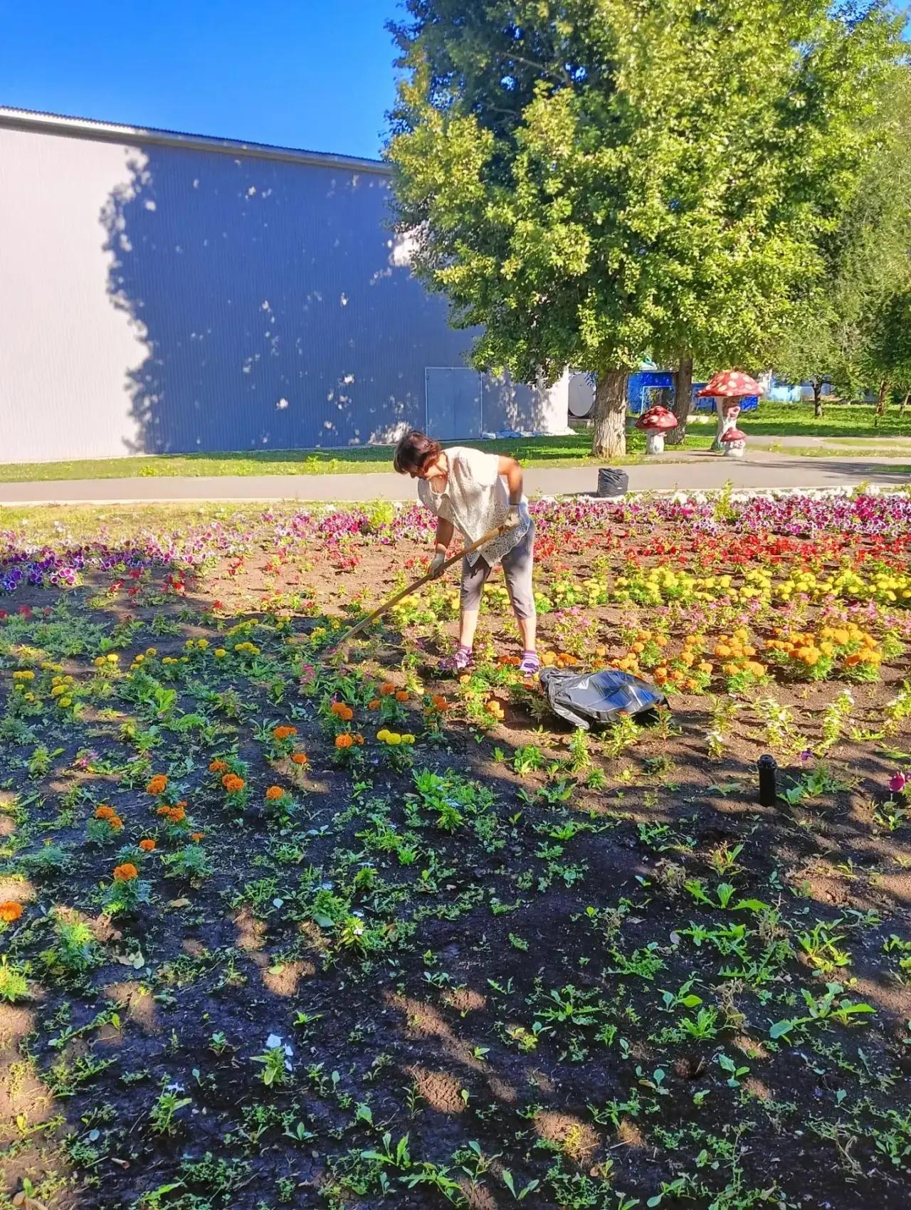 В Балаково в ежедневном режиме ведутся работы по благоустройству и очистке улиц