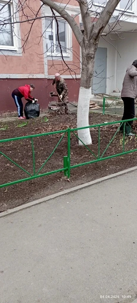 Новости
