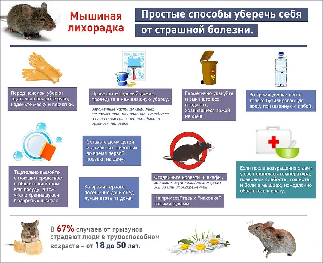 Сегодня на заседании межведомственной санитарно-противоэпидемической комиссии были рассмотрены вопросы профилактики ГЛПС