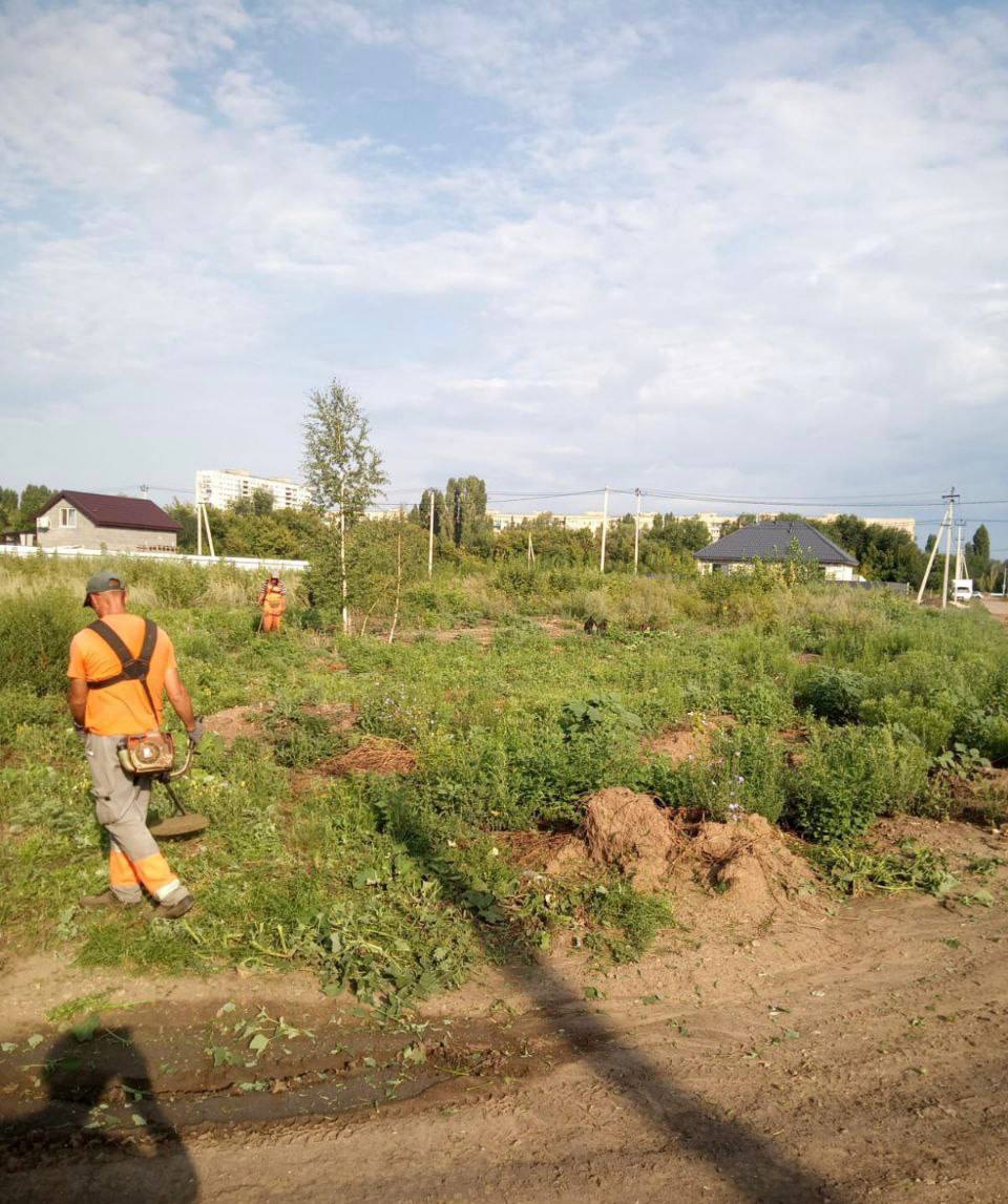 Сотрудники «Комбината благоустройства» ежедневно приводят в порядок город Балаково