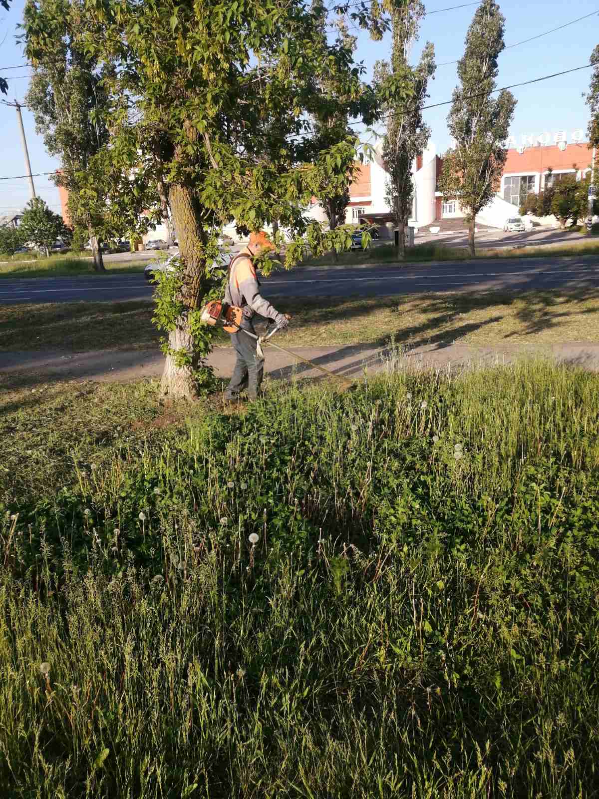 Благоустройство города Балаково сегодня: покос травы, стрижка живой изгороди, спил и обрезка деревьев, очистка ливневых колодцев, уборка общественных территорий