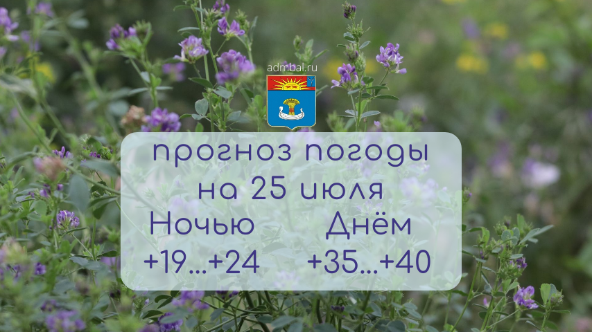 Прогноз погоды на 25 июля 2026 года