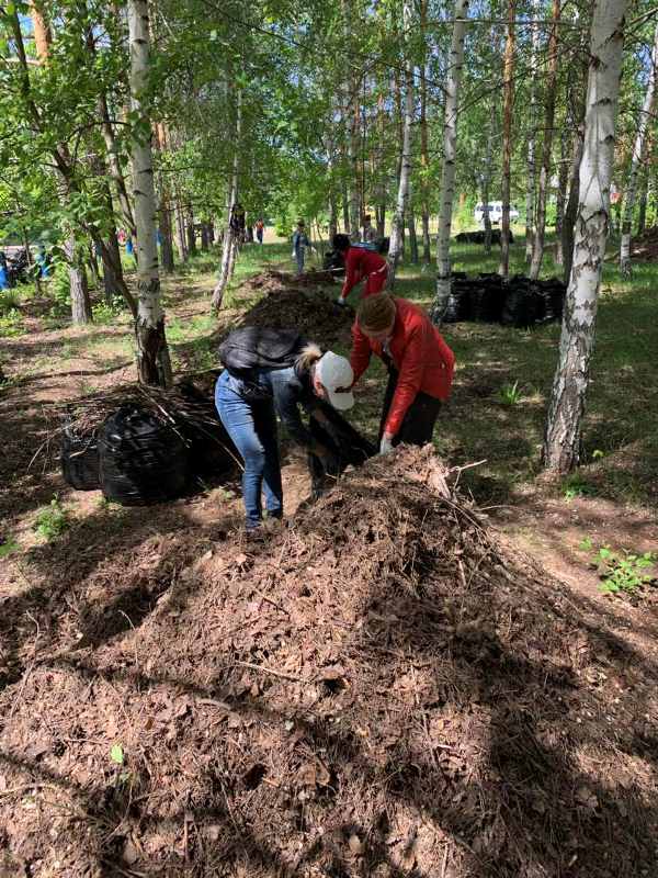 В рамках месячника по благоустройству на территории села Плеханы состоялся субботник
