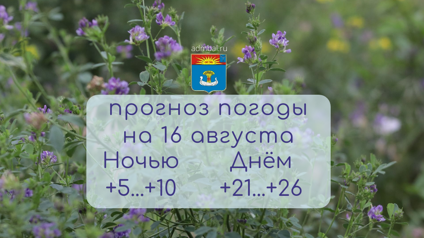Прогноз погоды на 16 августа 2026 года